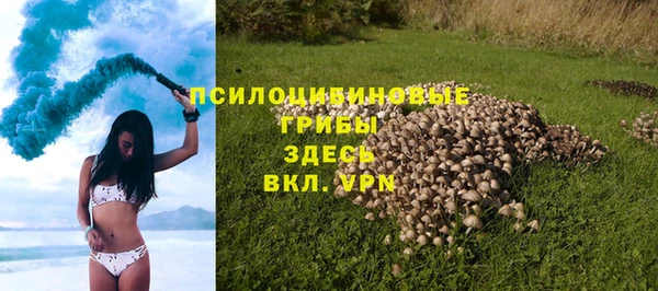 тгк Пересвет