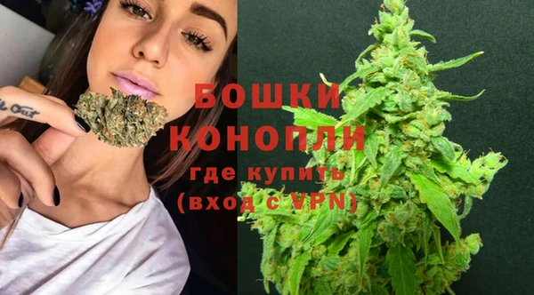тгк Пересвет