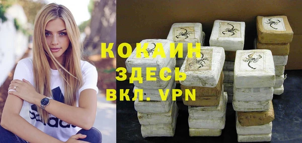 тгк Пересвет