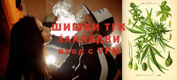 крисы Пестово
