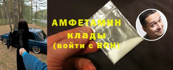 крисы Пестово