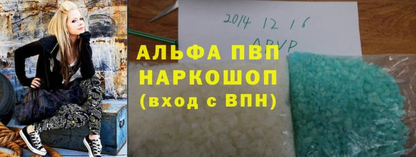 тгк Пересвет