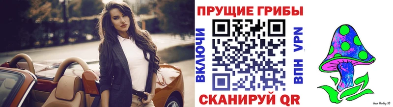 Купить где  Харабали  Галлюциногенные грибы Cubensis 